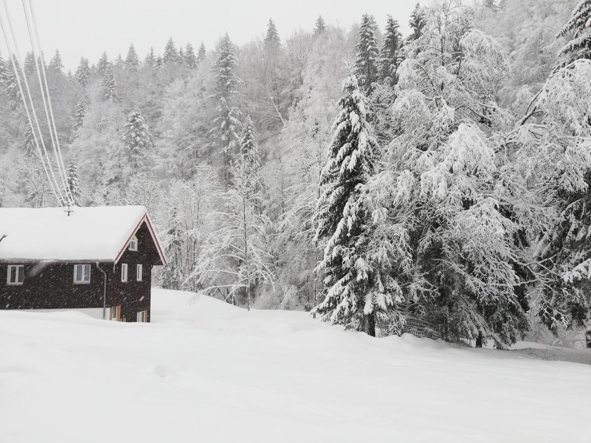 Apartamento Saegemuehle Eschachthal Buchenberg  Exterior foto